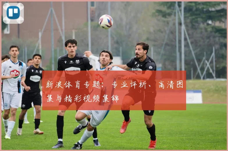 新浪体育专题:专业评析、高清图集与精彩视频集锦